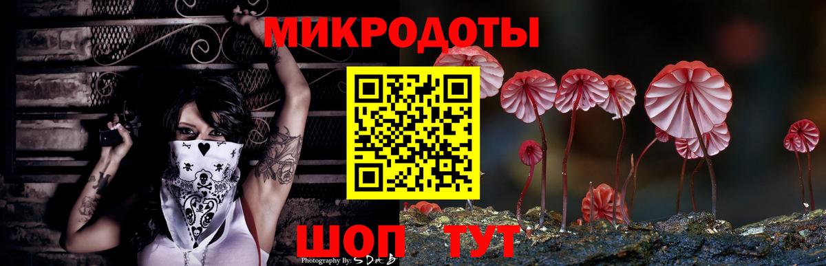 Ялта  Галлюциногенные грибы MAGIC MUSHROOMS  Вход с VPN 